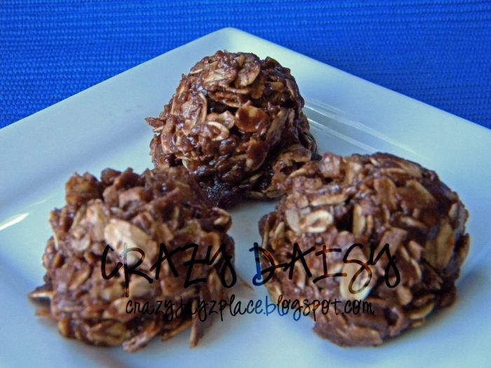 Chocoatnut Refrigerator Cookies (No Bake Cookies) Jasey's Crazy Daisy